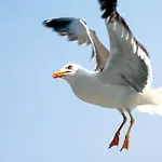 Fletcher Badhotel 에크몬드안지