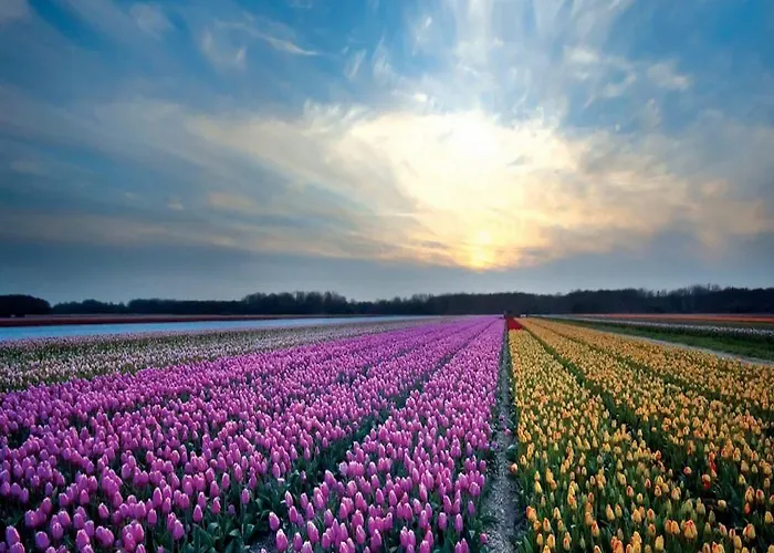 Fletcher Badhotel Hotel 3*