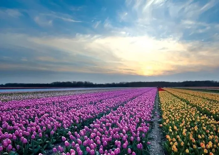 Fletcher Badhotel エグモント・アーン・ゼー