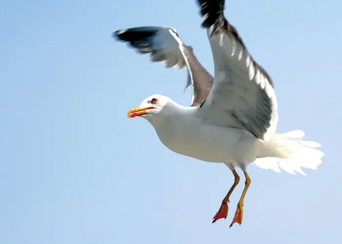 Fletcher Badhotel エグモント・アーン・ゼー