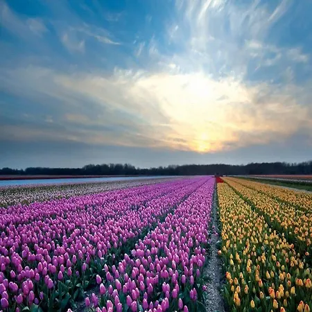 Fletcher Badhotel Отель 3*