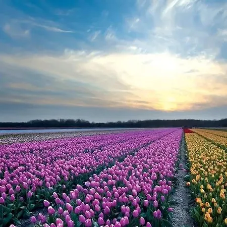 Fletcher Badhotel Эгмонд-ан-Зее