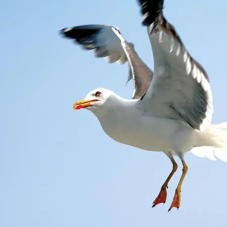 Fletcher Badhotel Egmond aan Zee